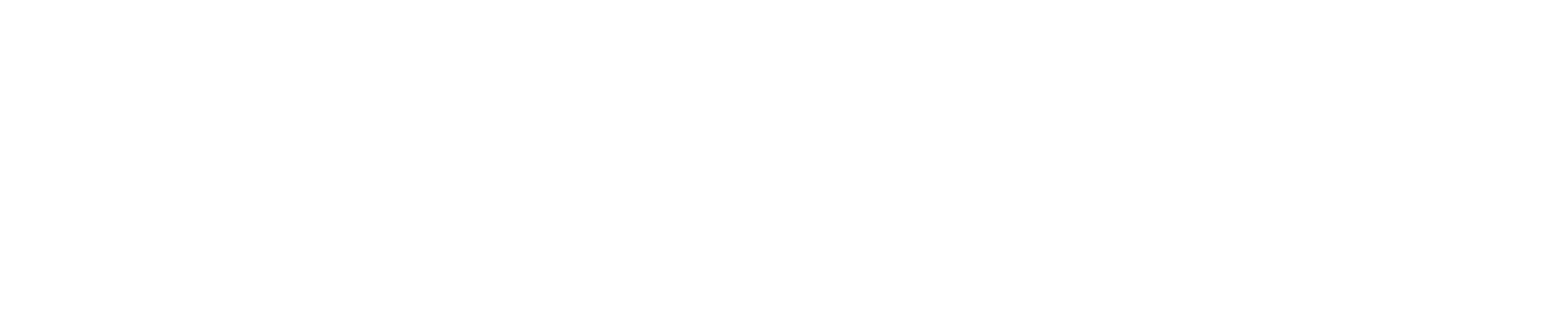 Discovery logo_white