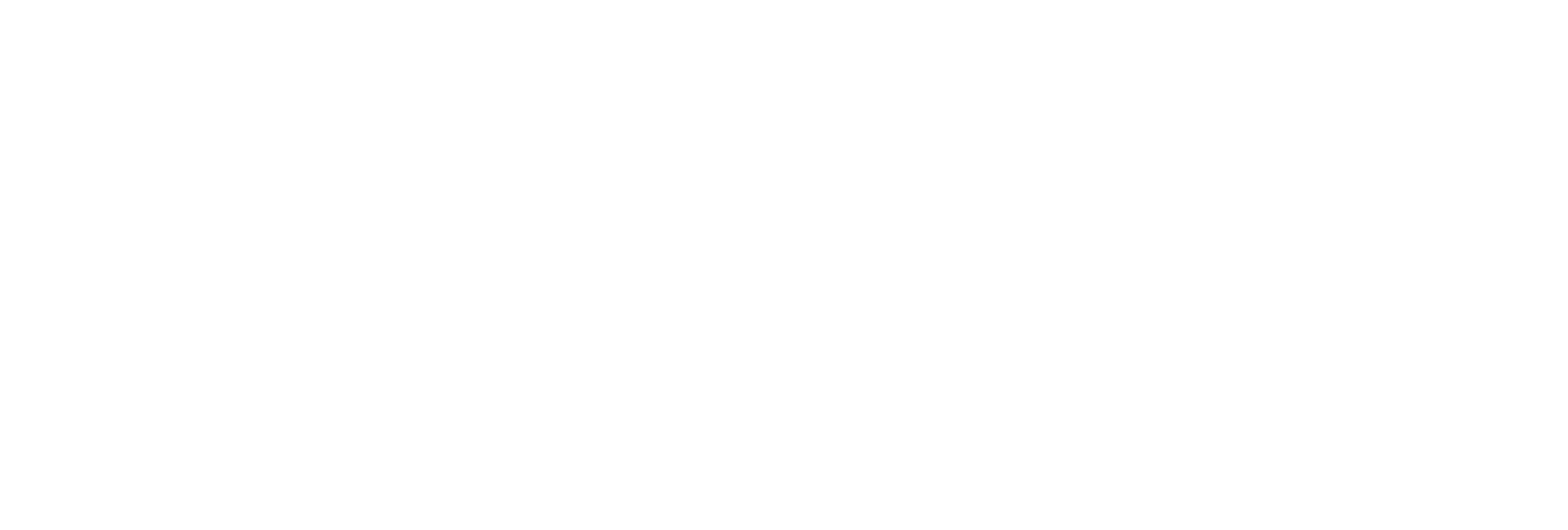 Google logo_white