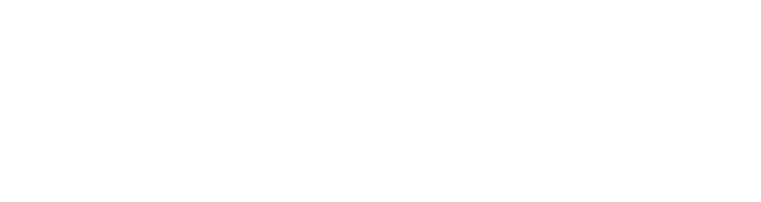 paypal logo_white